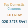Top Domestic Cleaners London logo