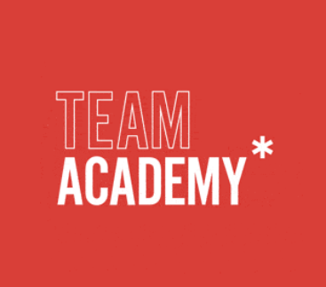 Team Academy Ltd logo