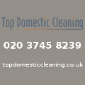 Top Domestic Cleaning London logo