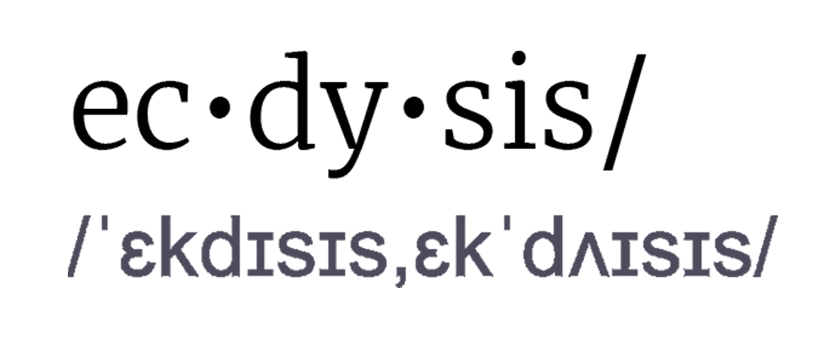 Ecdysis Studio logo