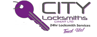 Locksmiths Newport, Local Locksmith Services logo