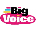 Big Voice Ltd logo