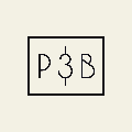 Pubali & Brothers logo