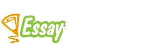 Master Essay Writers logo