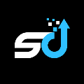 Savvy Digital logo