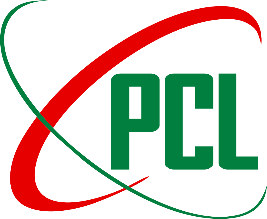Pioneer Capital Ltd logo