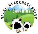 Valais Blacknose Sheep Cheshire logo