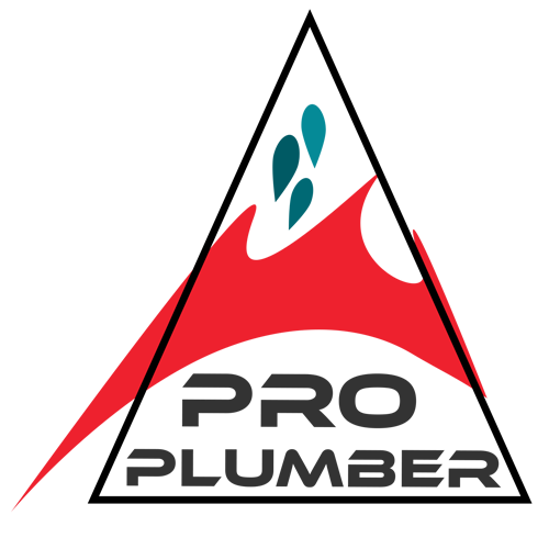 Pro Plumber Ltd logo