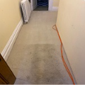 Carpet Cleaning Pros - Weybridge logo
