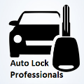 Auto Lock Professionals logo