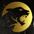 Wildcat sport logo