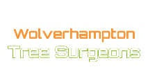 WV Tree Surgeons logo