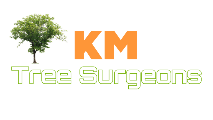 Kidderminster Tree Surgeons logo