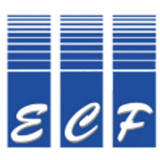 ECF Car Care logo
