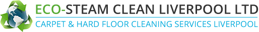 Eco steam clean Liverpool Ltd logo
