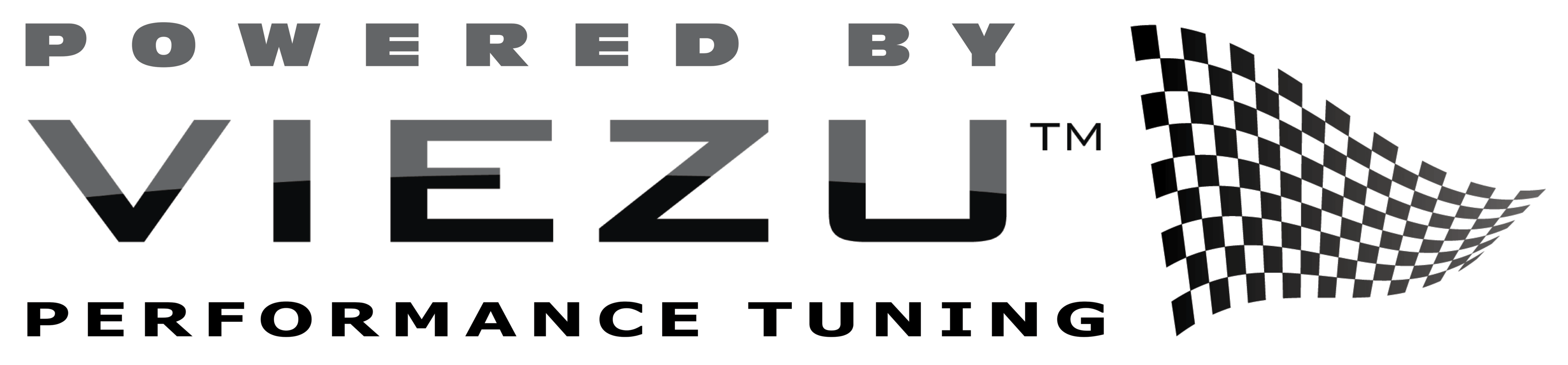 Viezu Technologies logo