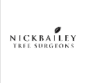 Nick Bailey Tree Surgeons logo