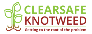 Clearsafe Knotweed logo