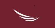 Qatar Airways Flight logo