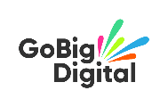 GoBig Digital Ltd logo
