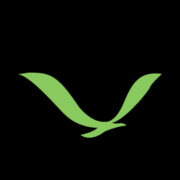 Dragonfly Web logo
