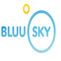 Bluu Sky Connections Ltd logo