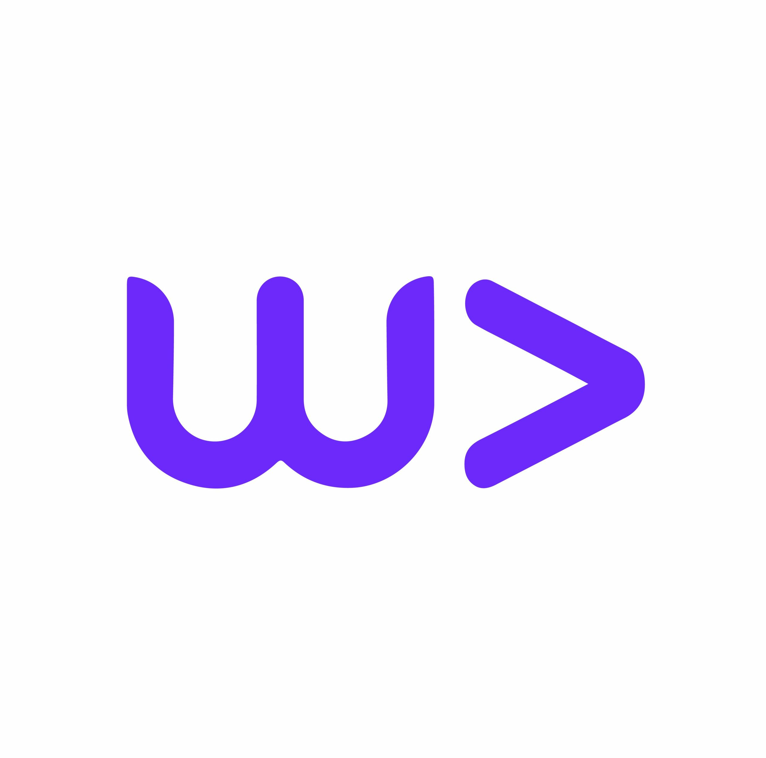 Webvizion logo