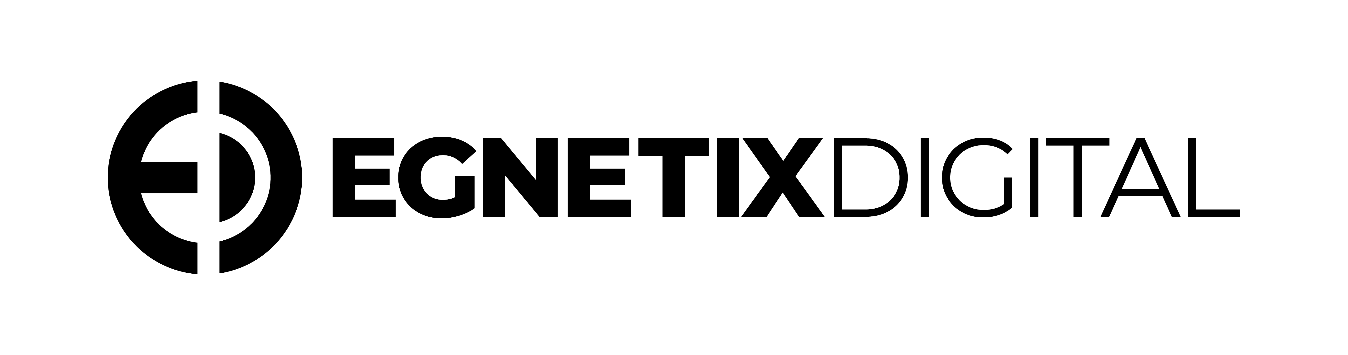 Egnetix Digital - Maidstone logo