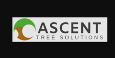 Ascent Tree Solutions LTD logo