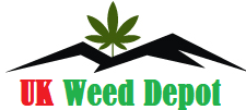 Weed Depot logo