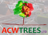 ACW Trees LTD logo