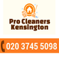 Professional Cleaners Kensington logo