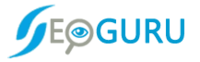 SEOGURU logo