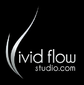 Vivid Flow Studio logo
