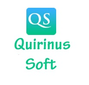 Quirinus Solution Ltd logo