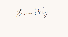 Excess Only logo