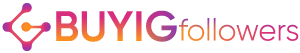 Buy IG Follower logo