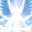 Absolute Holistic Guidance and Healing