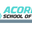 Acorn SOM