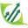Advance Business Services