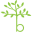 Birchwood Dental Practice