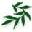 Burroughs &amp; Kearey Funeral Directors