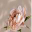 Hidden Botanics LTD