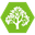 Mcauley Tree Surgery