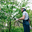 Nottingham Tree Surgeons