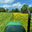 Paddock Maintenance