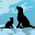 Paws Pet Travel