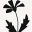 SF Garden Services &amp; Grounds Maintenance