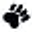Showpaws