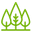 Stourbridge Tree Surgery